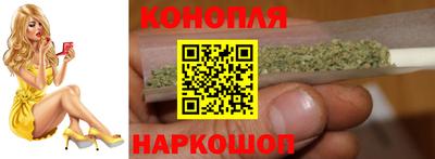 apvp Бердск