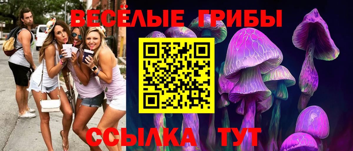 Псилоцибиновые грибы Psilocybine cubensis Ртищево